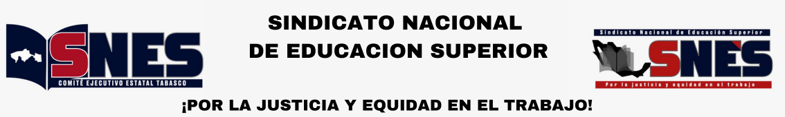 Mi Imagen Responsiva